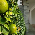 Luxury Beachfront With Private Pool, Private Beach, Yoga & Sea Adventures *