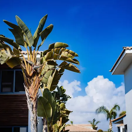 Luxury Beachfront With Private Pool, Private Beach, Yoga & Sea Adventures 別荘 ラルナカ