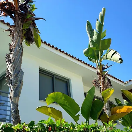 Luxury Beachfront With Private Pool, Private Beach, Yoga & Sea Adventures * Ларнака