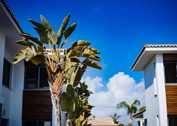 Luxury Beachfront With Private Pool, Private Beach, Yoga & Sea Adventures Holiday home Larnaca