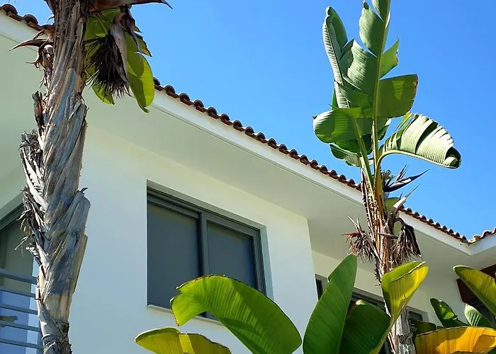 Luxury Beachfront With Private Pool, Private Beach, Yoga & Sea Adventures * Larnaca