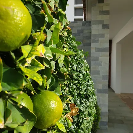 Luxury Beachfront With Private Pool, Yoga & Sea Adventures *