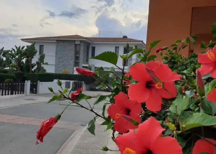 Дом отдыха Luxury Beachfront With Private Pool, Private Beach, Yoga & Sea Adventures Ларнака